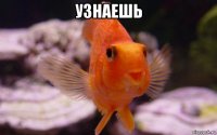 узнаешь 