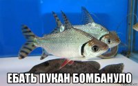  ебать пукан бомбануло