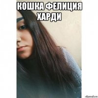 кошка фелиция харди 