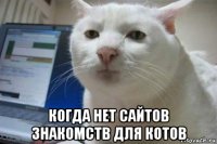  когда нет сайтов знакомств для котов