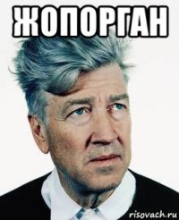 жопорган 