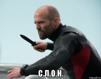  с.л.о.н.