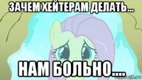 зачем хейтерам делать... нам больно....