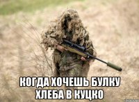  когда хочешь булку хлеба в куцко