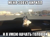 меня зовут кирилл и я умею качать головой