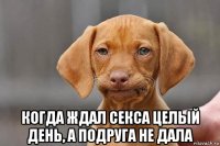  когда ждал секса целый день, а подруга не дала