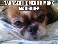 так убей же меня и моих малышей 