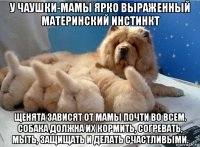 у чаушки-мамы ярко выраженный материнский инстинкт щенята зависят от мамы почти во всем. собака должна их кормить, согревать, мыть, защищать и делать счастливыми.