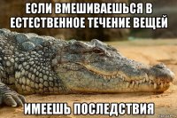 если вмешиваешься в естественное течение вещей имеешь последствия