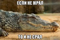 если не жрал то и не срал