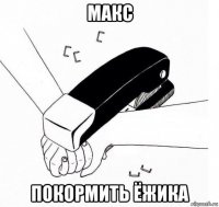 макс покормить ёжика