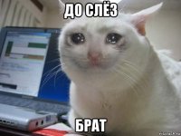 до слёз брат