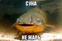 сука не жарь
