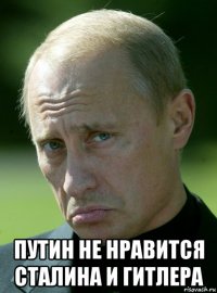  путин не нравится сталина и гитлера