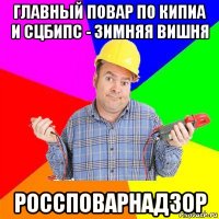 главный повар по кипиа и сцбипс - зимняя вишня россповарнадзор