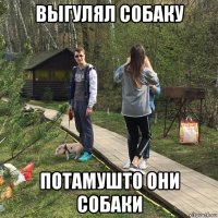 выгулял собаку потамушто они собаки
