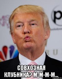  совхозная клубника? м-м-м-м...