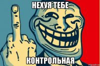 нехуя тебе контрольная