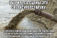 уберите со сцены эту сверхсуперстаруху, от песен ее у меня уши даже набухли: так похожа она на четырехногую громоздкую муху, шумно ползающую по жирной и грязной кухне!