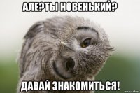 але?ты новенький? давай знакомиться!