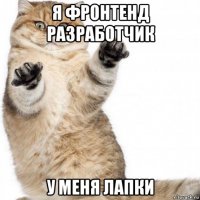 я фронтенд разработчик у меня лапки