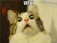 ухты 