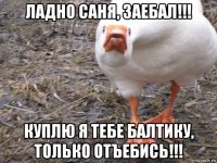 ладно саня, заебал!!! куплю я тебе балтику, только отъебись!!!