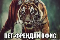  пет-френдли офис