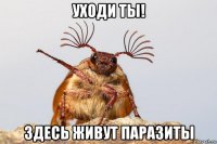 уходи ты! здесь живут паразиты