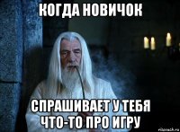 когда новичок спрашивает у тебя что-то про игру