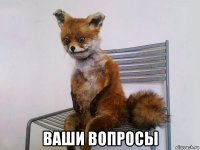  ваши вопросы