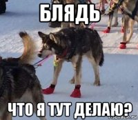 блядь что я тут делаю?
