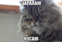 царапаю кусаю