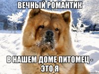 вечный романтик в нашем доме питомец - это я