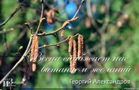  ___________________________________________________________________________________________________________________________________________________________________________________________________________________________________________________________________