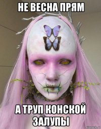 не весна прям а труп конской залупы