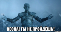  весна! ты не пройдёшь!