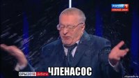  членасос
