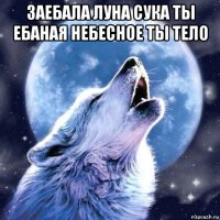 заебала луна сука ты ебаная небесное ты тело 
