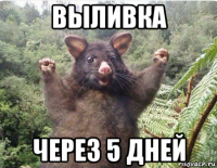выливка через 5 дней