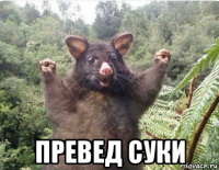  превед суки