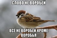 слово не воробей всё не воробей кроме воробья