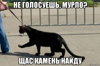 не голосуешь, мурло? щас камень найду