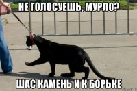 не голосуешь, мурло? шас камень и к борьке