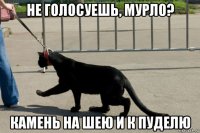 не голосуешь, мурло? камень на шею и к пуделю