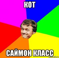 кот саймон класс