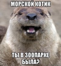 морской котик ты в зоопарке была?