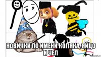  новички по имени коляка, яйцо и чел