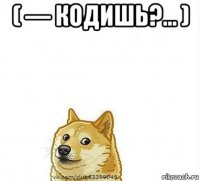 ( — кодишь?... ) 