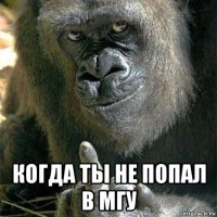  когда ты не попал в мгу